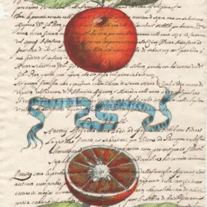 Citrus fruits on manuscript