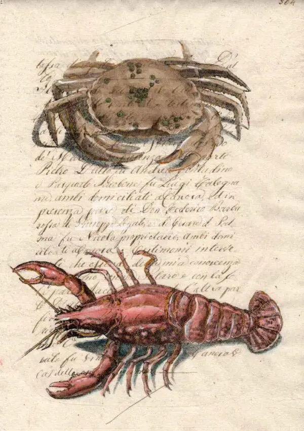 Crustacean