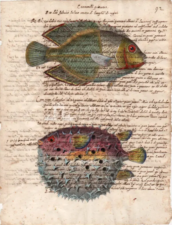 Animali marini su carta manoscritta - immagine 8
