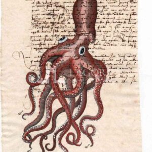 Octopus on manuscript