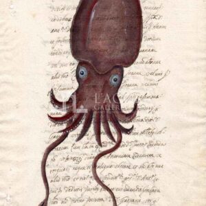 Octopus on manuscript