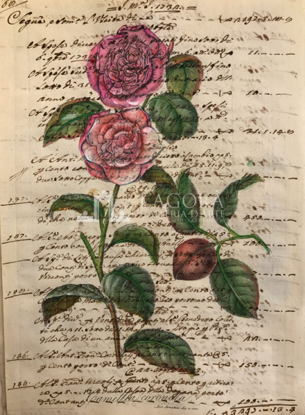 Fiori su carta manoscritta - immagine 3