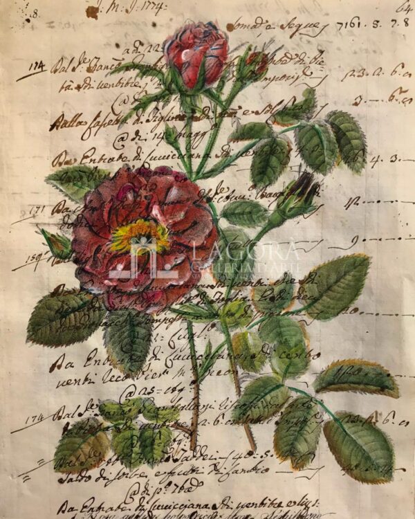 Fiori su carta manoscritta - immagine 4