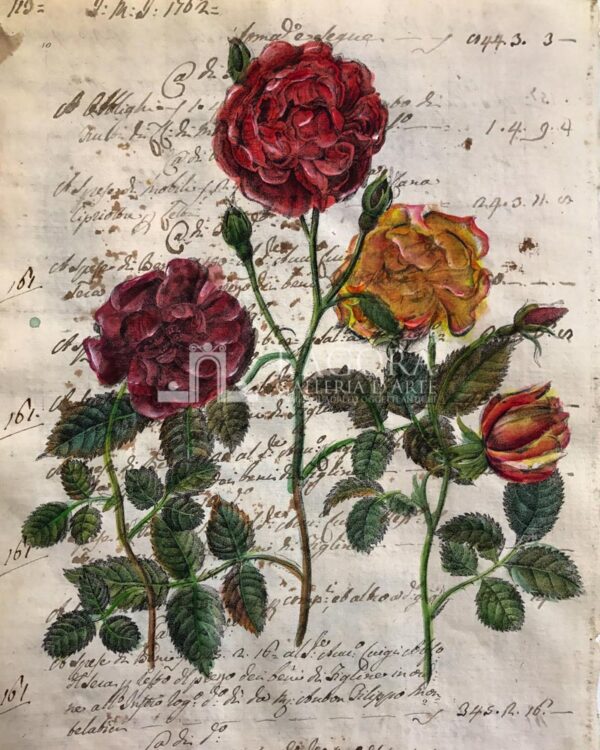 Fiori su carta manoscritta - immagine 5