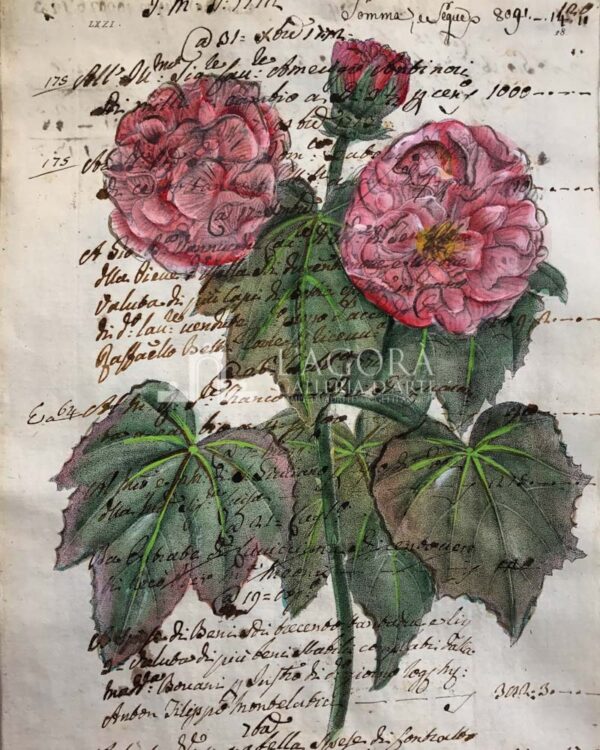 Fiori su carta manoscritta - immagine 6