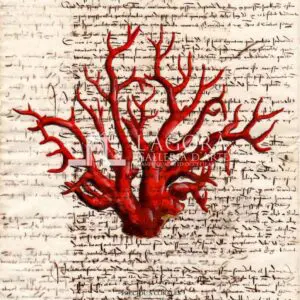 Coralli rossi su carta manoscritta