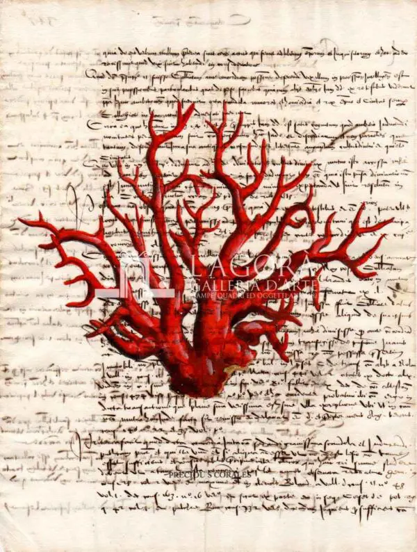 Coralli rossi su carta manoscritta