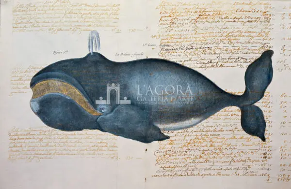 Balene e delfini su carta manoscritta