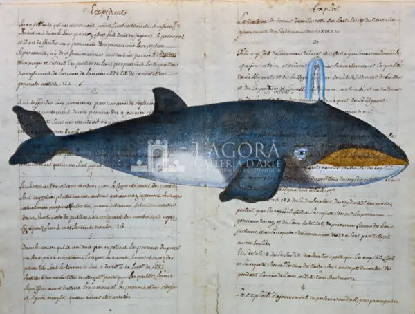 Balene e delfini su carta manoscritta - immagine 2