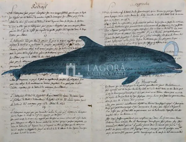 Balene e delfini su carta manoscritta - immagine 3