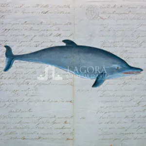 Whales and Dolphins on manuscript