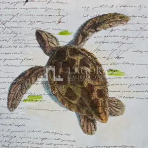 Turtles on manuscript