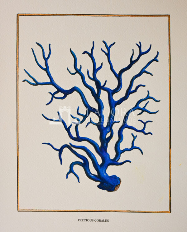 blue coral