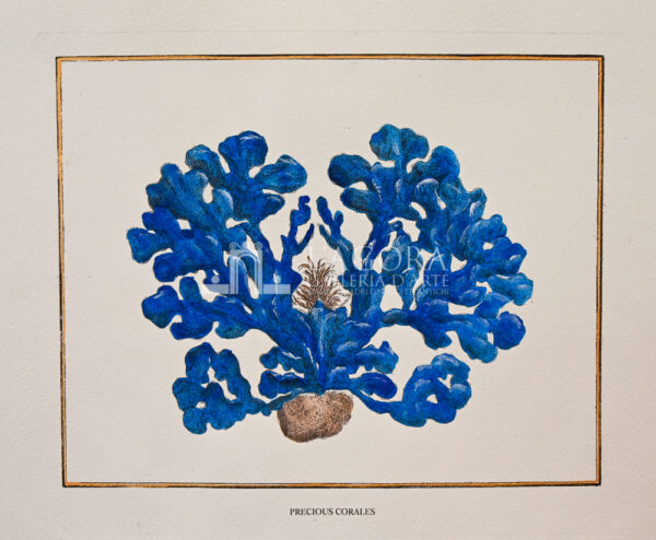 blue coral