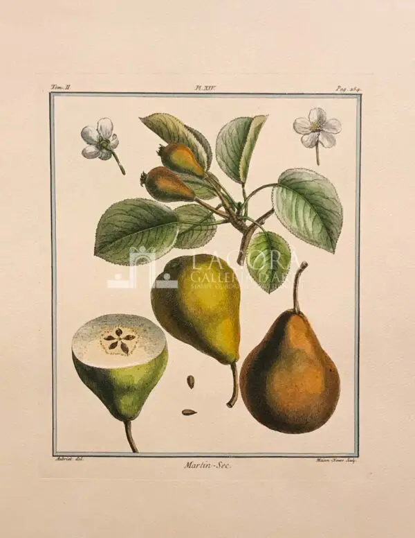 Frutta - immagine 9